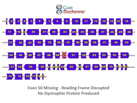 Exon Skipping Motion Graphic