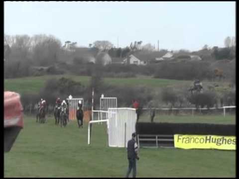 "GOOD VIBRATION" LOT 82 @ DONCASTER SPRING SALES 2015