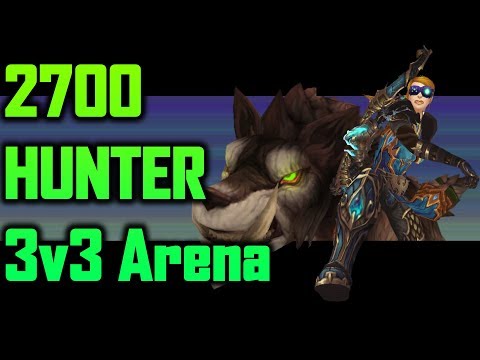 2700 Marksmanship Hunter 3v3 Arena #29