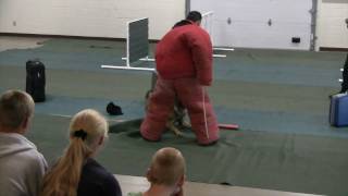 preview picture of video 'RCPD K-9 Unit Demonstration - Rapid City, SD'