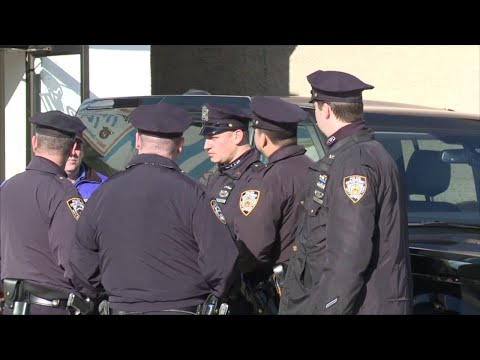 N. Y. P. D. & the Use Of Courtesy Cards