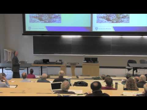 CANSEE 2013 - Alan Richardson - Integrated Reporting for Sustainability: What to Integrate and How