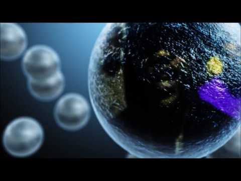 Playa Playa X Cousin Lean X Leando