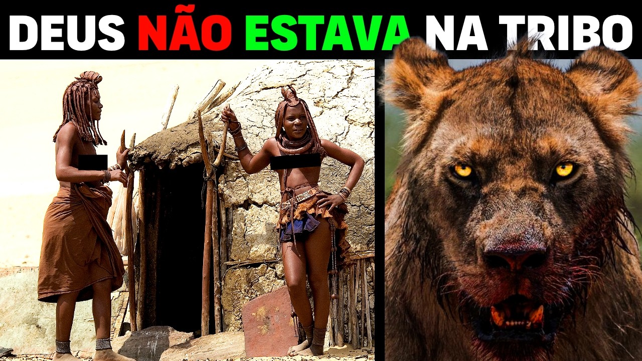 Lion - HALF OF THE HIMBA TRIBE WERE DEVOURED BY HUNGRY LIONS