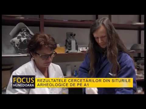 REZULTATELE CERCETĂRILOR DIN SITURILE ARHEOLOGICE DE PE A1