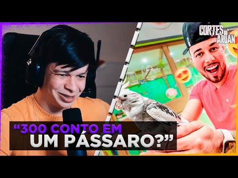 ARUAN REAGE A ELE FEZ UMA SURPRESA PRA MIM! uma calopsita albina (Nathalie Victória)-Cortes do Aruan