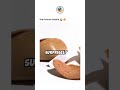 Fortune Cookie Fail: The Most Unexpected Message Ever!