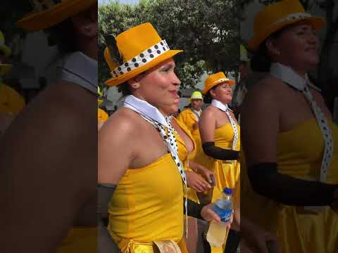 🎭#AsiFue el desfile de comparsas y carrozas 🥳#FeriasyFiestas2026