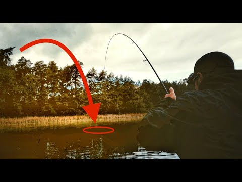 Mega surprise at the secret forest lake!