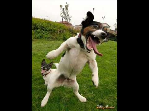 Pick Up The Pieces - Kenny G Ft David Sanborn