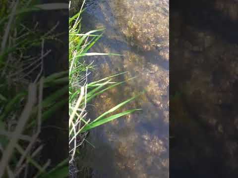 29 ноября 2020 г.