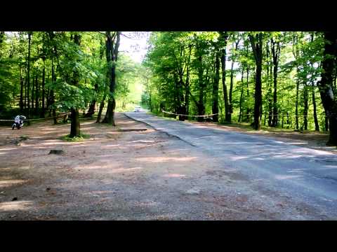 beogradski reli 2013