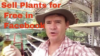 How to Sell Microgreens Herbs & Plants in Facebook Free