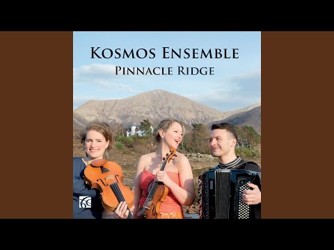 Virtuozna Harmonika (Virtuoso Accordion)