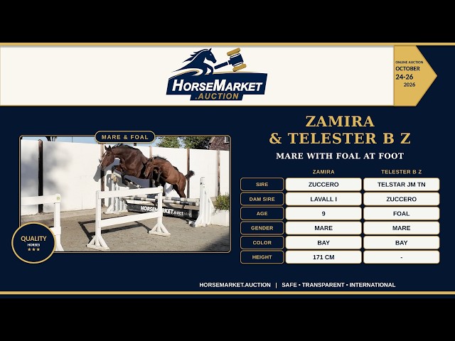 Zamira & Telester B Z