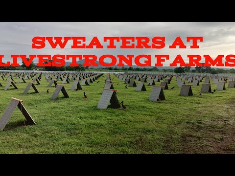 SWEATERS OF LIVESTRONG FARMS