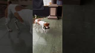 Download lagu mike di suruh ambil kaleng mp3