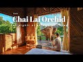 AMAZING 2 Nights In An Elephant Sanctuary Chai Lai Orchid In Chiang Mai
