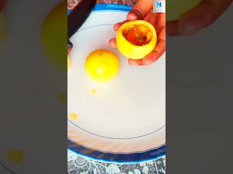 Passion Fruit || Anarkoli Fruit