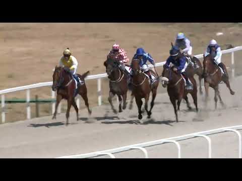 2022.07.24. 04. futam -  LEPSÉNYI HENDIKEP (III.o.) (szintetikus pálya)