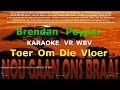 READ DESCRIPTION - Brendan Peyper - Toer Om Die Vloer KARAOKE VR WBV