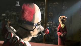 preview picture of video 'Compare The Meerkat - Commercial 19 ( The Circus )'