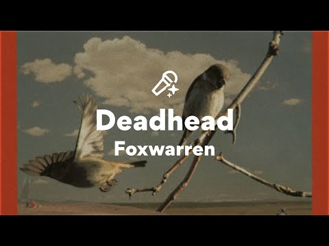 Foxwarren feat. Andy Shauf & Darryl Kissick, Deadhead (Lyrics)