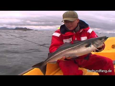 Fishing until your arms hurt - On the road in Vesterâlen, Norway