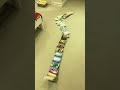 Satisfying Book Dominoes Satisfying Dominos Dominoes Books