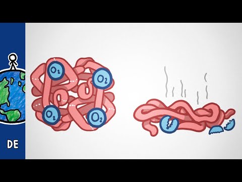 Diese Krankheit kannst du nicht überleben