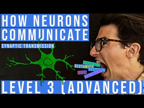 Synaptic Transmission and The Synapse (Level 3 Advanced)