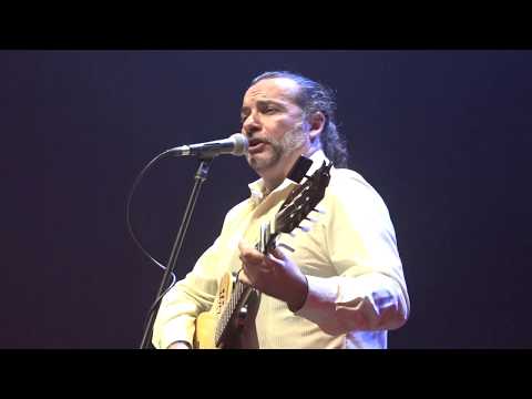 Fernando Freire - Gato Bailarin - Autor: Fernando Freire