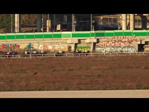 31.10.2021 Trka V - TRKA GRADA BEOGRADA Beogradski hipodrom