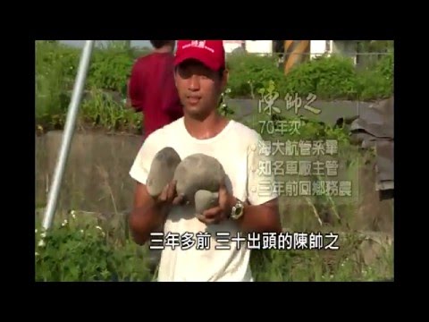 【吉時從農 青春逐夢】青年農民-陳帥之