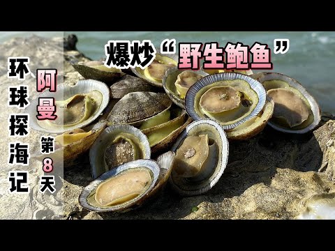 《环球探海记》阿曼~第8天：今天带1位英国朋友去赶海，让他感受到什么是&ldquo;野生鲍鱼&rdquo;泛滥！