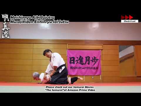 Meishinryu Aikido techniques 明真流　合気道の稽古 #aikido #合気道 #天照会 2026 0410 01