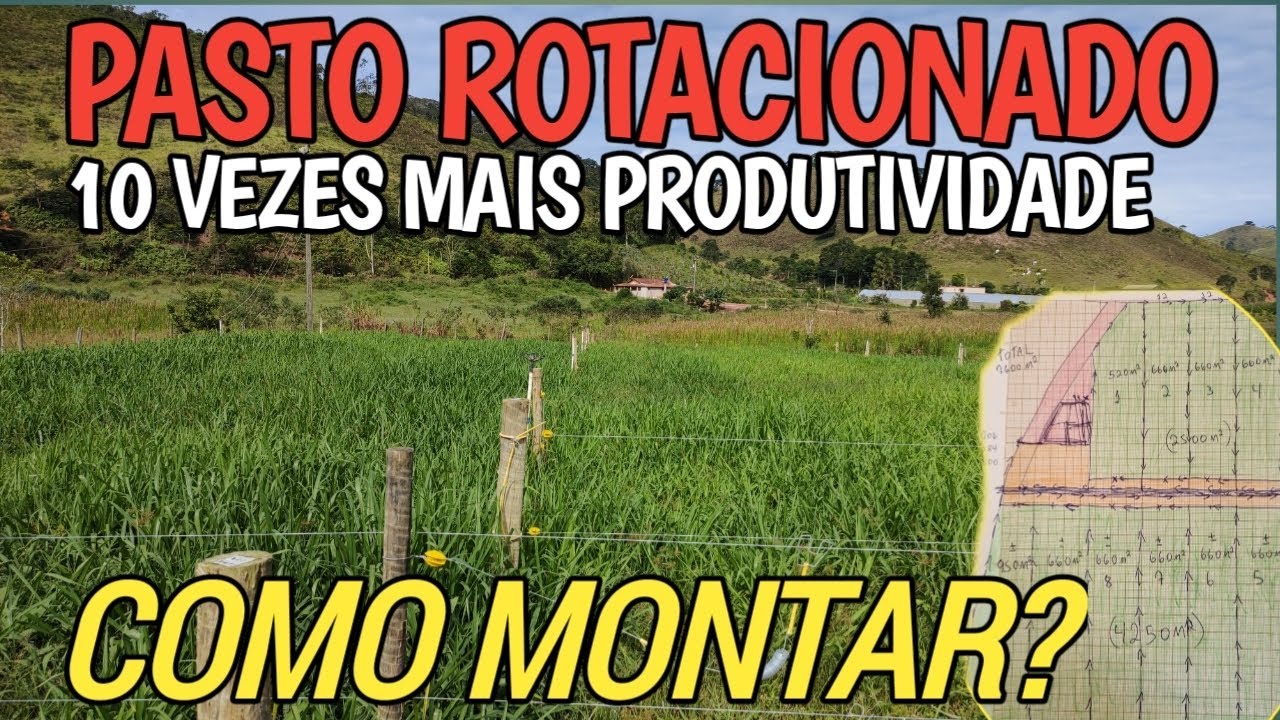 como montar um sistema de pasto rotacionado, dicas práticas pra aumentar a produtividade