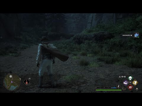 Hogwarts Legacy PS5 - Best Moonstone farm location