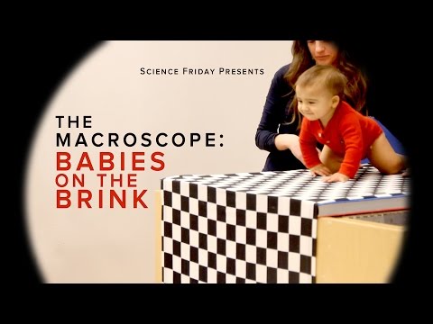 image-What does the visual cliff experiment prove?