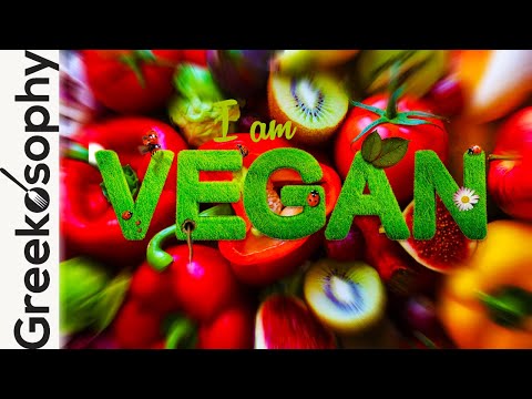 Amazing Greek Vegan Dishes - Greek Vegan Food On Youtube