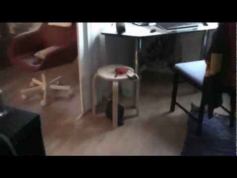 niilo22 toivottaa rauhallista joulua 2012