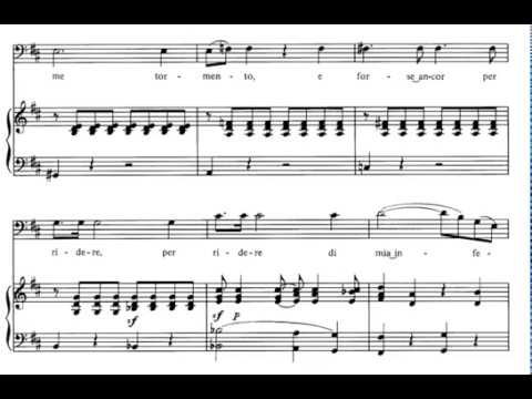 Hai già vinta la causa (Le Nozze di Figaro - W. A. Mozart) Score Animation