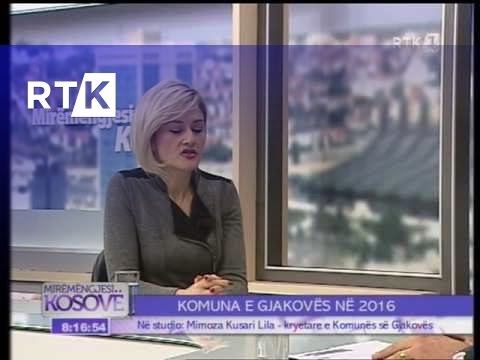 Mysafiri i Mengjesit Mimoza Kusari Lila  07.01.2016