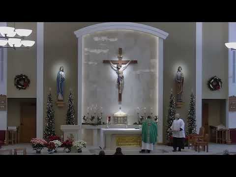 St. Francis of Assisi: Holy Mass (Friday, January 30th, 8am)
