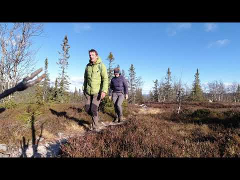 Begnadalen okt 2020 v2