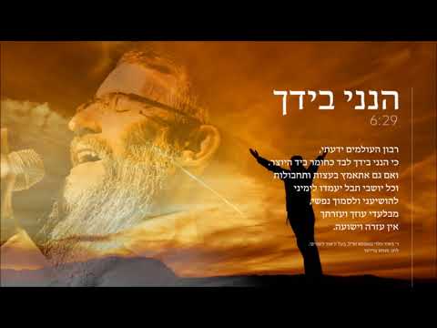 אברהם פריד סינגל חדש הנני בידך  Avraham Fried New Single   Riboin Haolomim