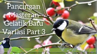 Download lagu Pancingan Gelatik Batu Bahan Ombyokan 100% Nyaut Ampuh mp3