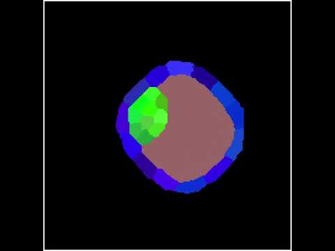 Blastocyst Simulation 20/02/22