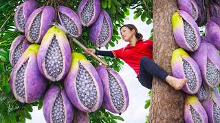 Download lagu Harvesting Cracked Purple Mangoes on Giant Trunks | Sell at Market & Learn How to Grow Them Fast Now mp3
