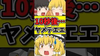 10秒後･･･おにぎりが「イヤアアアッ」と泣いてしまう猫！？ #shorts #博麗霊夢 #ゆっくり茶番劇